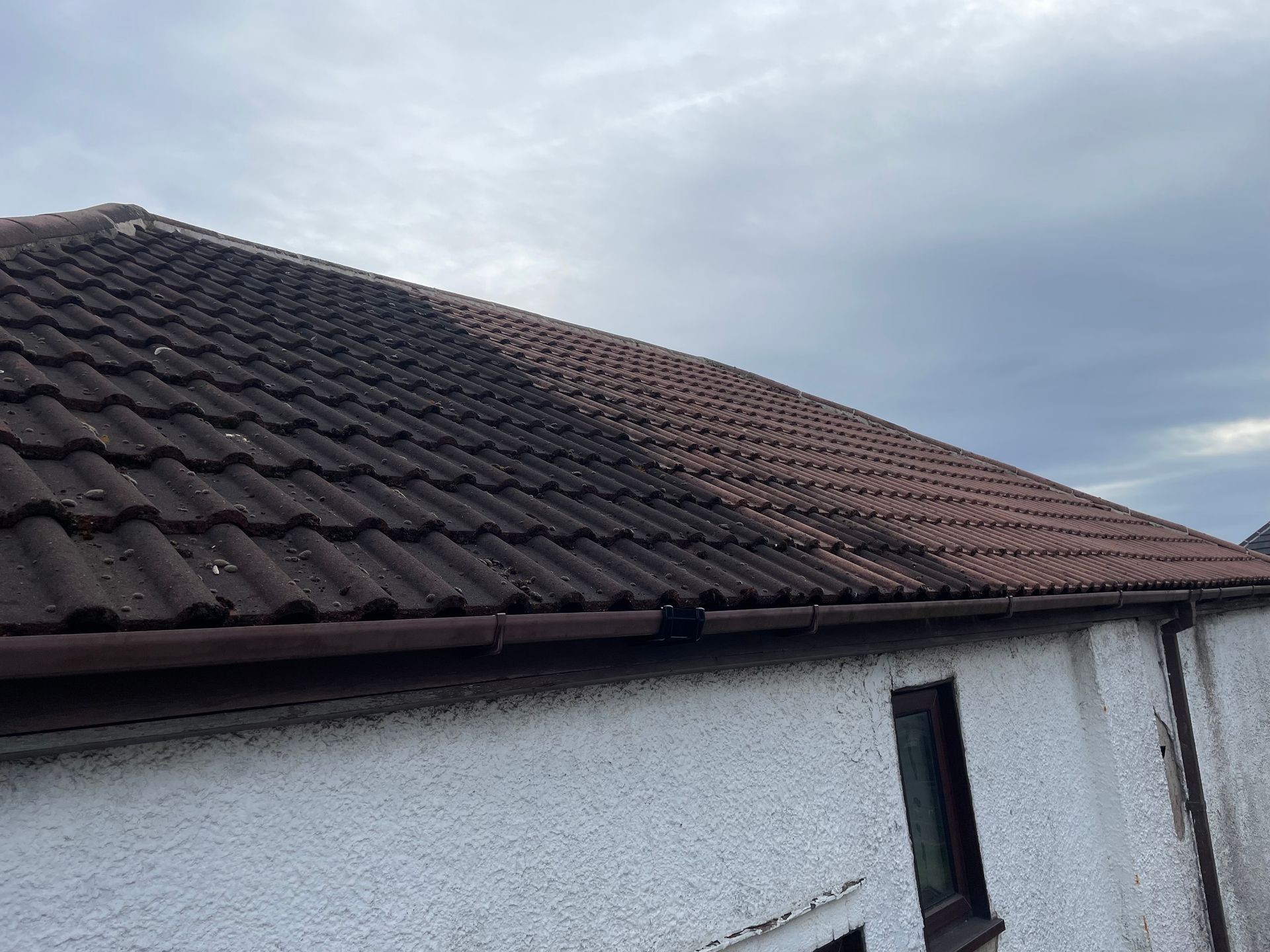 Comprehensive Roof Cleaning